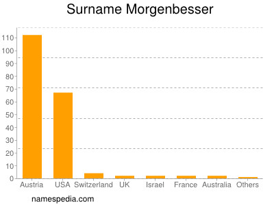 Familiennamen Morgenbesser