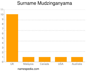 Familiennamen Mudzinganyama