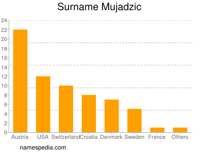 Surname Mujadzic