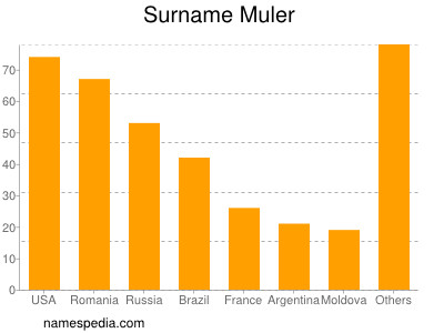 Familiennamen Muler