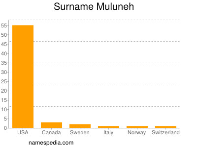 Surname Muluneh