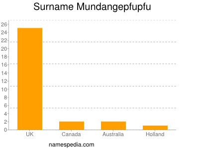 Surname Mundangepfupfu