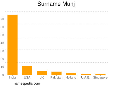 Surname Munj
