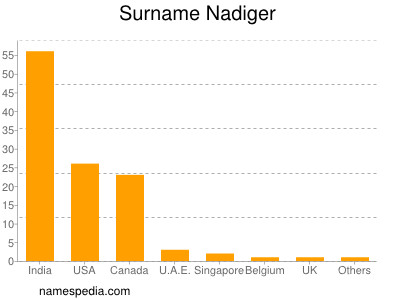 Familiennamen Nadiger