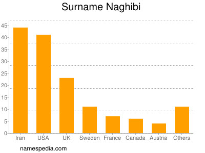 Familiennamen Naghibi