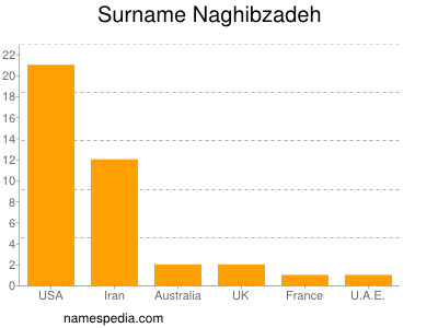 Familiennamen Naghibzadeh