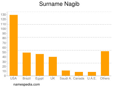 Surname Nagib