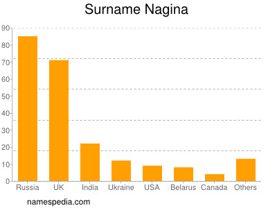 Familiennamen Nagina