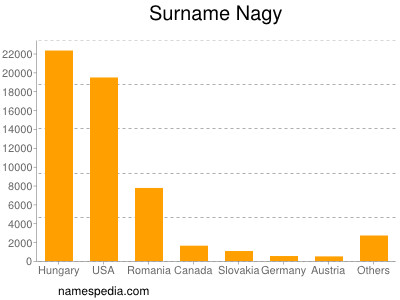 Familiennamen Nagy