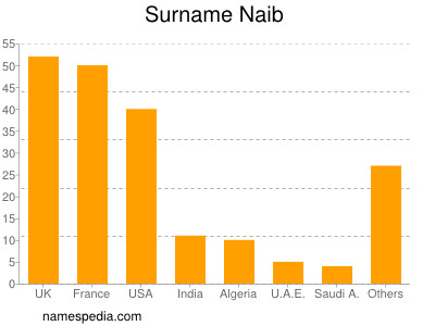 Familiennamen Naib