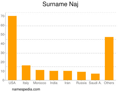 Familiennamen Naj