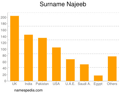 Familiennamen Najeeb