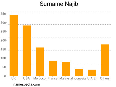 Familiennamen Najib