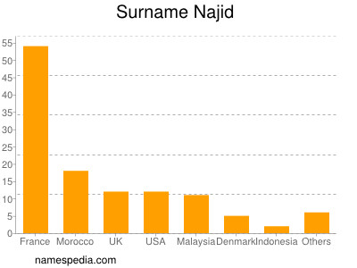 Familiennamen Najid