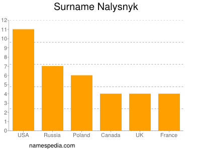 Familiennamen Nalysnyk