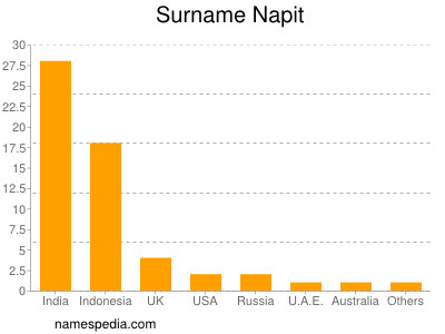 Surname Napit