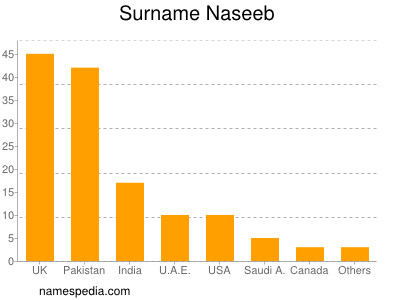 Familiennamen Naseeb