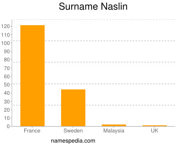 Familiennamen Naslin