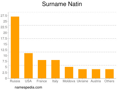 Familiennamen Natin