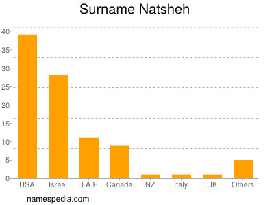 Familiennamen Natsheh