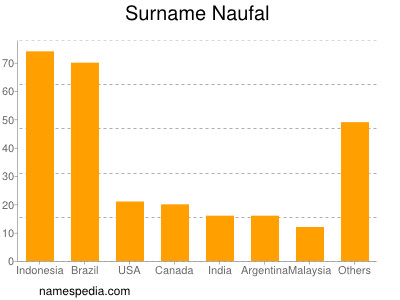 Familiennamen Naufal