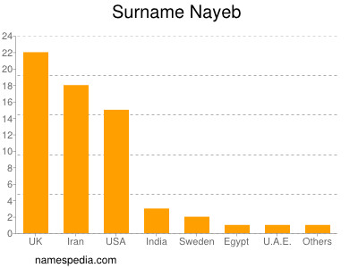 Familiennamen Nayeb