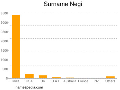 Familiennamen Negi