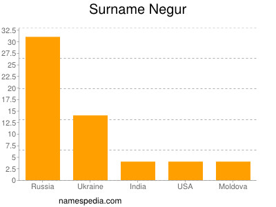 Surname Negur