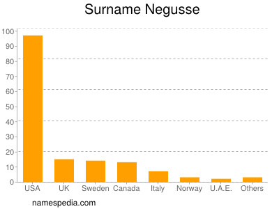 Surname Negusse
