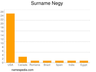 Surname Negy