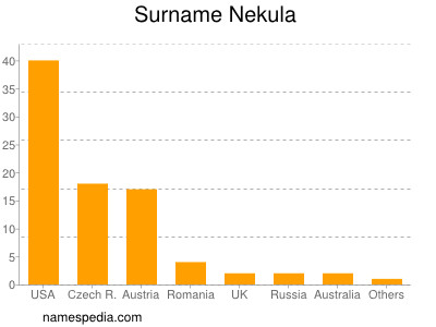 Familiennamen Nekula