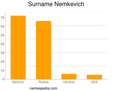 Familiennamen Nemkevich
