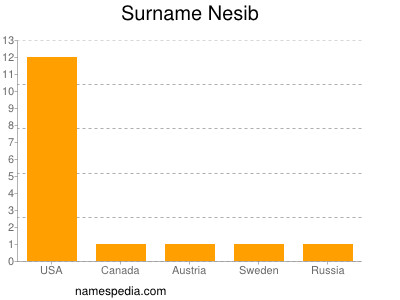 Familiennamen Nesib