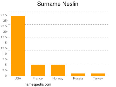 Familiennamen Neslin