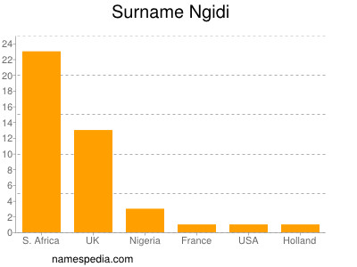 Familiennamen Ngidi