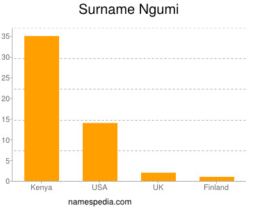 Familiennamen Ngumi