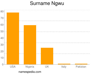 Familiennamen Ngwu