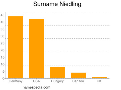 Surname Niedling