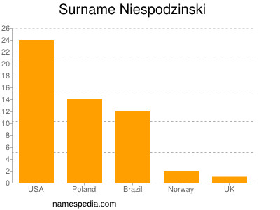 Surname Niespodzinski