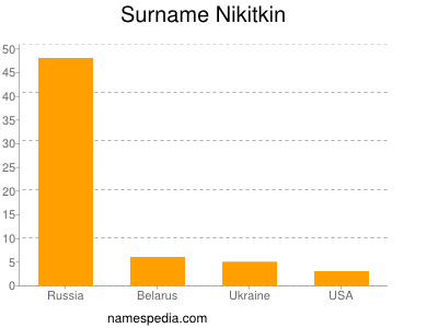 Surname Nikitkin