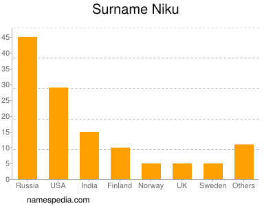 Familiennamen Niku