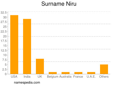 Familiennamen Niru