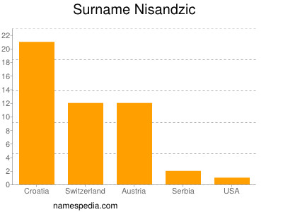 Surname Nisandzic