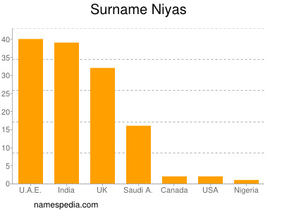 Familiennamen Niyas