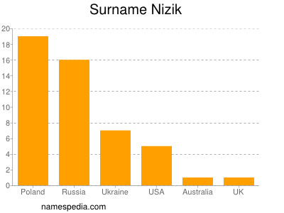 Surname Nizik