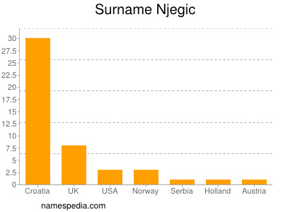 Familiennamen Njegic