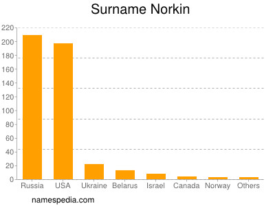 Familiennamen Norkin