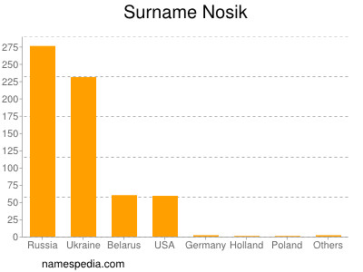 Familiennamen Nosik