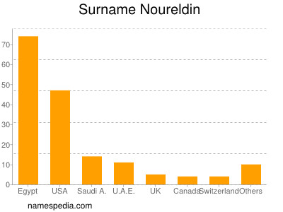 Familiennamen Noureldin