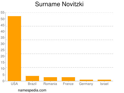 Familiennamen Novitzki